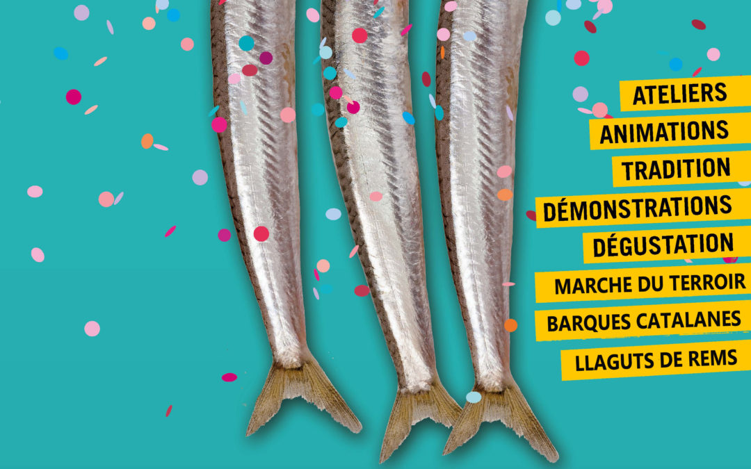 Championnat du Roussillon à Collioure à l’occasion de la fête de l’anchois